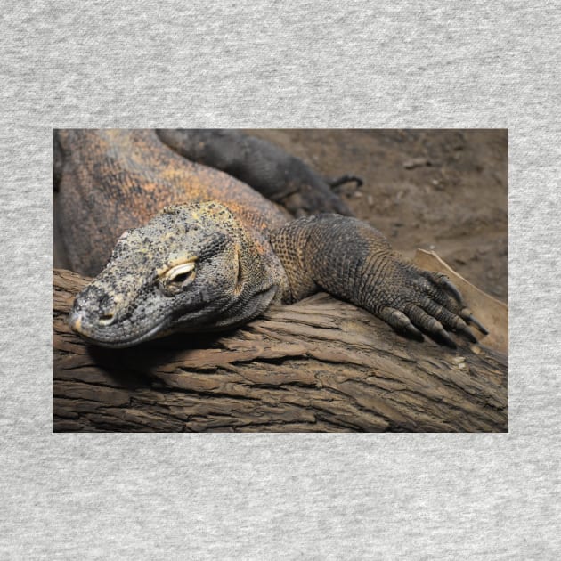 Komodo Dragon by Sharonzoolady